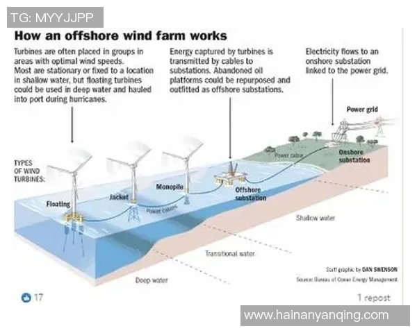 清洁能源技术创新与推广的未来发展路径与挑战分析